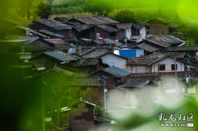 枫叶动漫