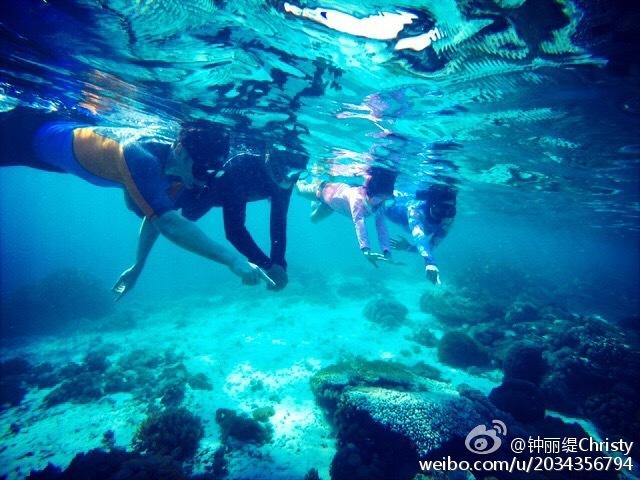 逃离绿色山谷