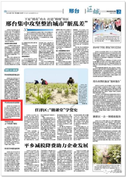 探探猫拼图